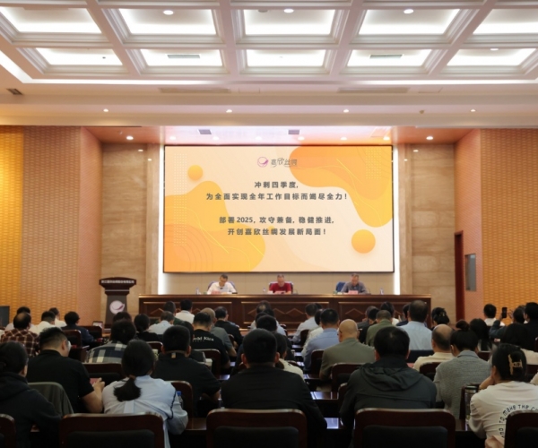 J9集团丝绸2024年三季度经济局势分析会顺利召开