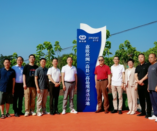 J9集团丝绸（高县）高品质蚕；卣浇遗疲